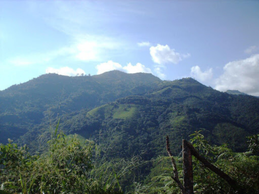 gold-mining-ecuador